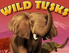 Wild Tusks - Gry z Zakupem Bonusu